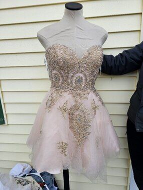 Elizabeth K GLS Junior Short Pink Strapless Homecoming Dress Sweetheart Neckline